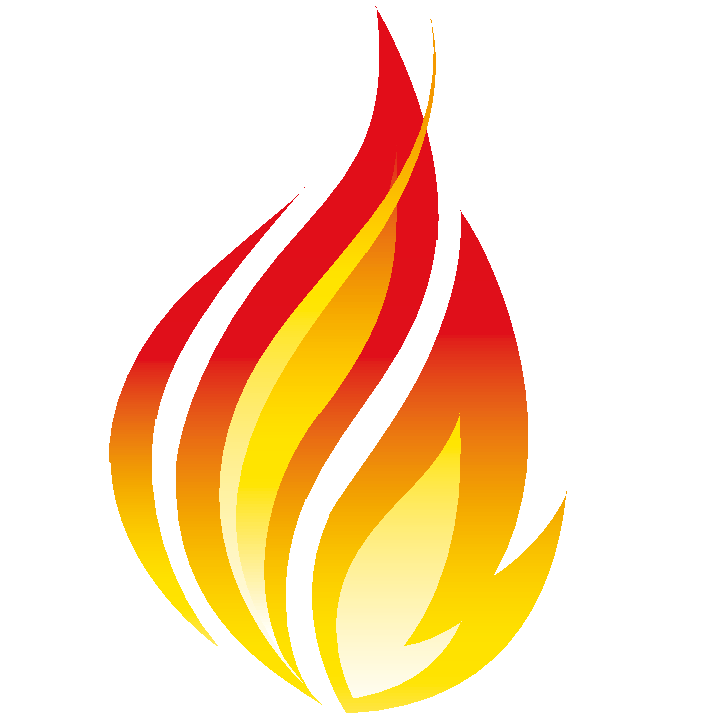 HL7 FHIR
